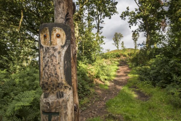 wood carving, path and trees