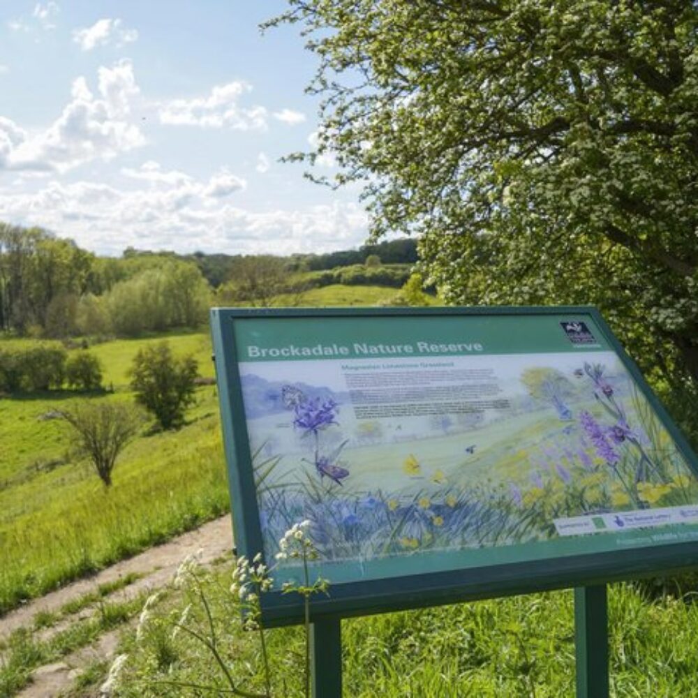 Information board and landscape at Brockadale Nature Reserve